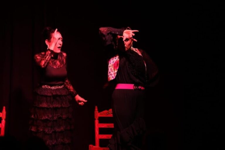Valencia: Flamenco Show at Ca Revolta Theater - Who Will Love This?
