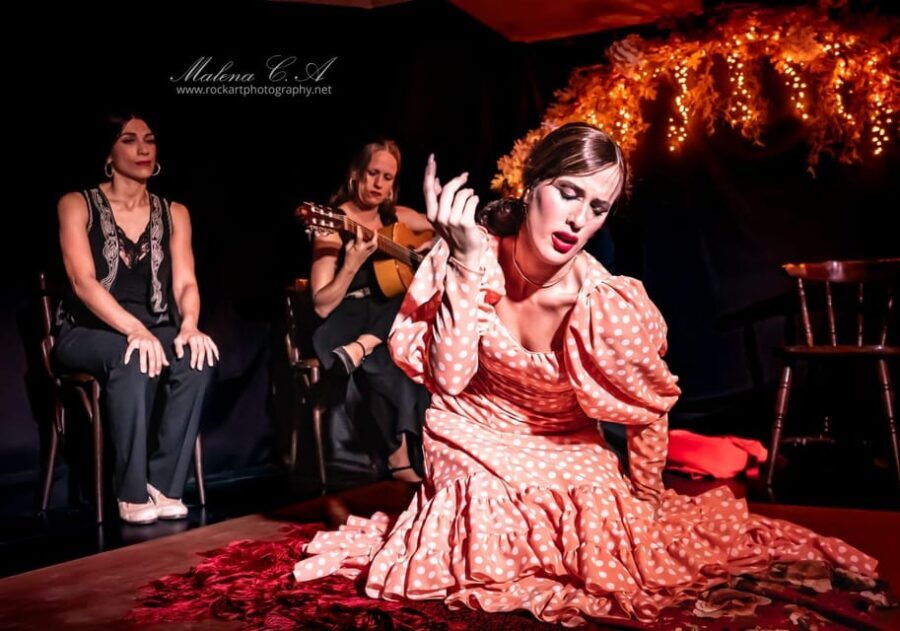 Valencia: Flamenco Show at Tablao La Reina - A Deep Dive into the Flamenco Show at Tablao La Reina