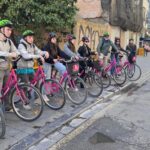 Valencia: Guided Private Bike Tour with Tapas and Drinks - A Deep Dive into the Valencia Bike & Tapas Tour