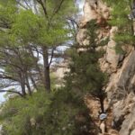 Valencia: Introduction to Sport Rock Climbing - Final Thoughts: Who Will Love This?