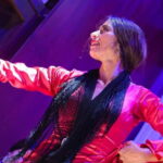 Valencia: La Linterna Flamenco Show - An In-Depth Look at Valencias La Linterna Flamenco Show
