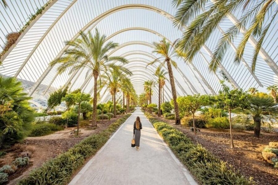 Valencia: Must-See Attractions Walking Tour - Practical Details and Tips
