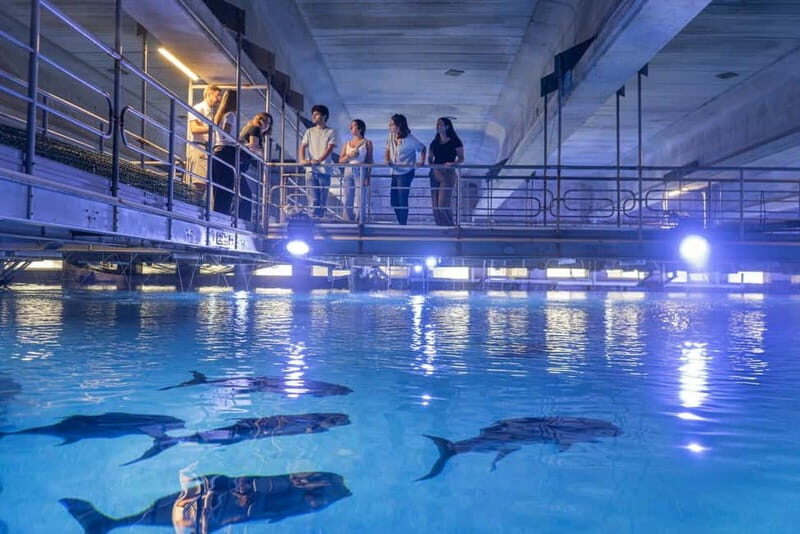 Valencia Oceanogràfic Entry with Backstage tour in Spanish - A Close Look at the Experience