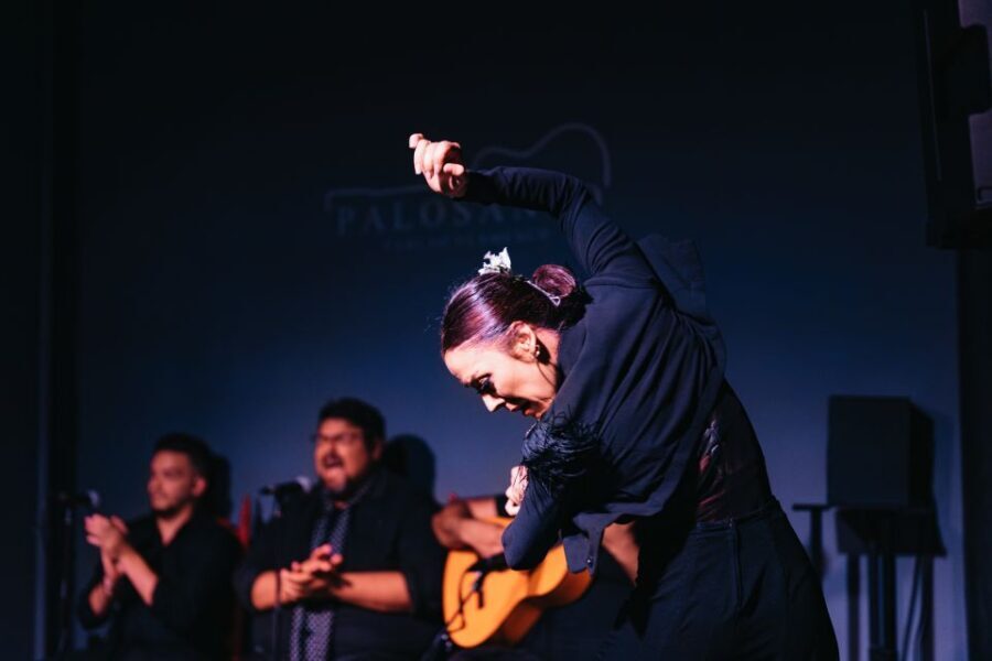 Valencia: Palosanto Flamenco Show Ticket - A Closer Look at Palosanto Flamenco Theater