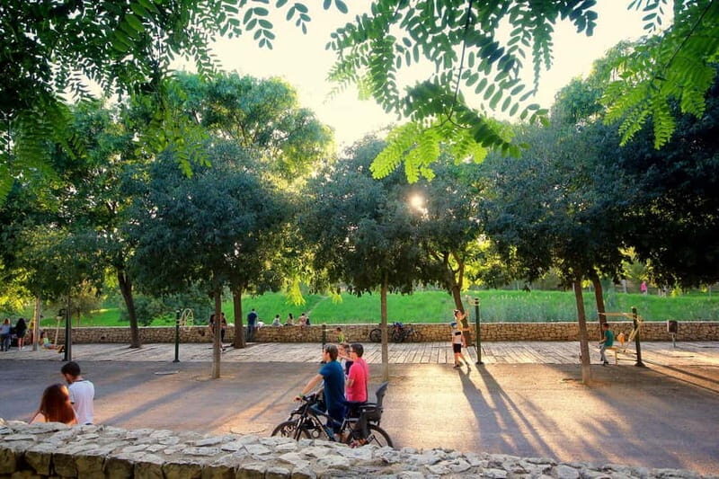Valencia Parks: Private Tour on Bicycle, E-Bike or E-Step - Exploring Valencia’s Green Side: A Detailed Review