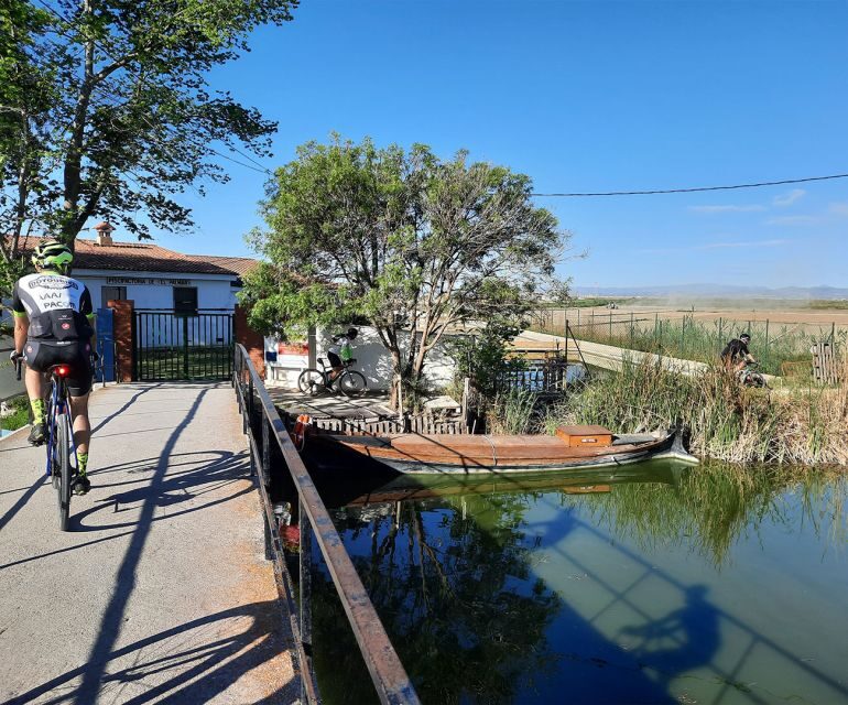 Valencia: Road to La Albufera Guided Private Bike Tour - Exploring Pinedo Beach and El Saler