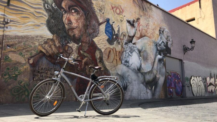 Valencia: Street Art Tour on Bicycle, E-Bike or E-Step - An In-Depth Look at the Valencia Street Art Tour