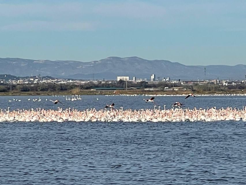 Valencia: The Albufera Lake Self-Guided E-Bike Tour - The Practical Details