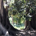 Valencia: Turia & Cabecera Park Private Segway Tour - What We Love About This Tour