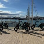 Valencia: Unforgettable Bike Tour & Coastal Catamaran Cruise - Who Will Love This Tour?