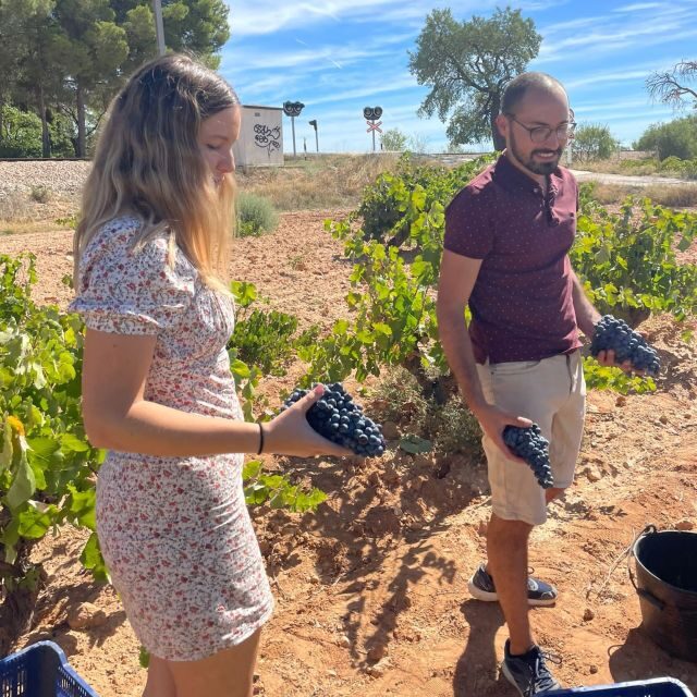 Valencia: Utiel-Requena Cave & Winery Day Trip with Tasting - Who Will Love This Tour?