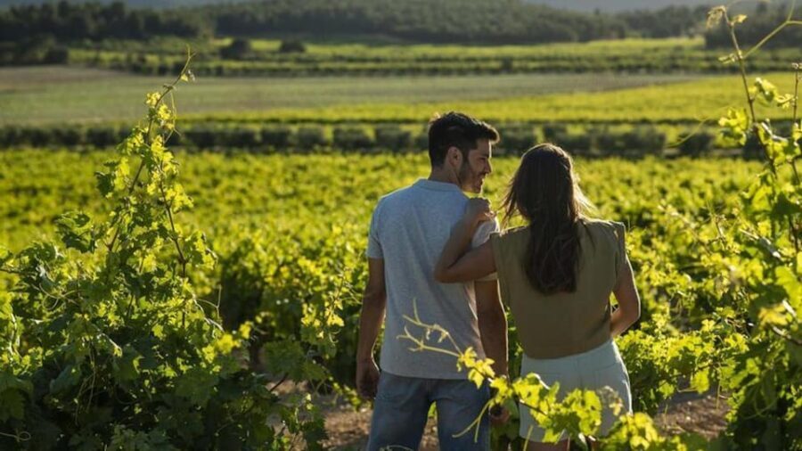 Valencia: Vineyard Tour with Local Wine Tasting & Appetizer - A Deep Dive into the Vineyard Experience