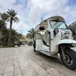 Valencia: Visit the Historic Center of Valencia by Tuk Tuk - Evaluating the Value