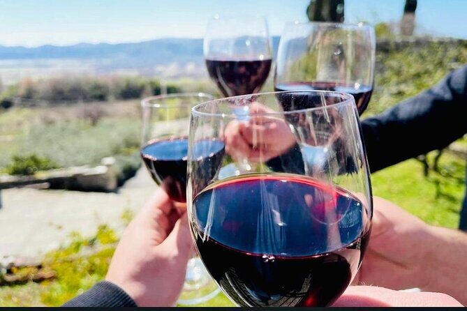 Valleyview Vines Tasting Experience - Who Would Love This Tour?