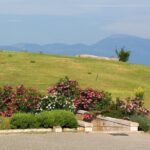 Vergina and Veria Half-Day Tour from Thessaloniki - What Makes This Tour Stand Out?