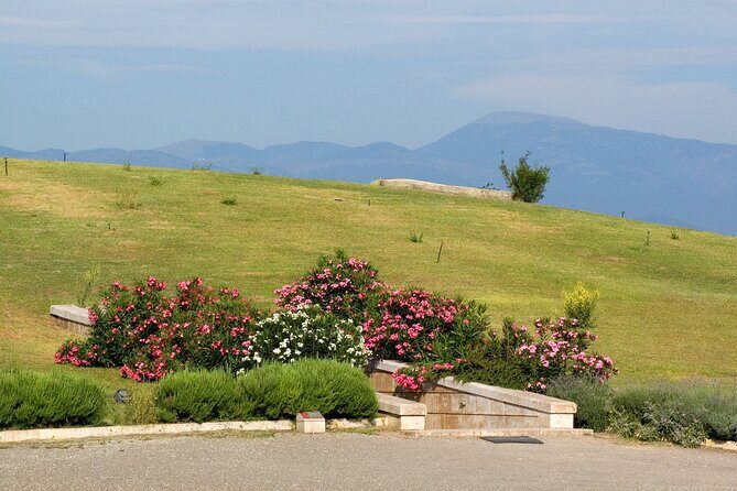 Vergina and Veria Half-Day Tour from Thessaloniki - What Makes This Tour Stand Out?