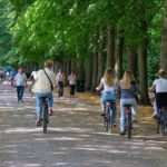 Versailles: Bike Rental, Different Sizes - The Bottom Line: Is It Worth It?