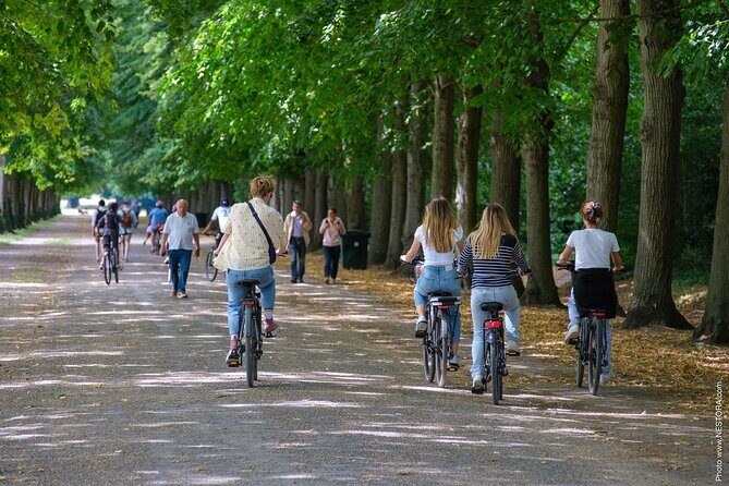 Versailles: Bike Rental, Different Sizes - The Bottom Line: Is It Worth It?