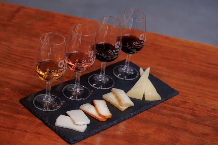 Vila Nova de Gaia: Port Wine Tasting with Cheese Pairing - Analyzing the Value