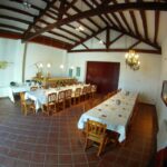Vilafranca del Penedès: Winery Visit with Tastings - The Setting and Start of the Tour