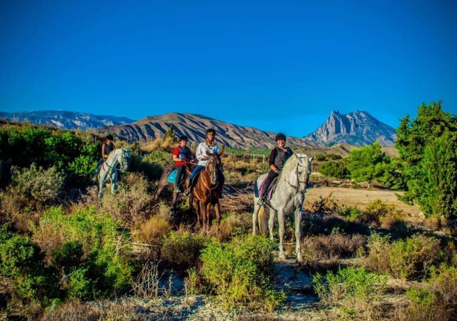 Villajoyosa Horseback Riding in the Mountains with sea views - Detailed Breakdown and What to Expect