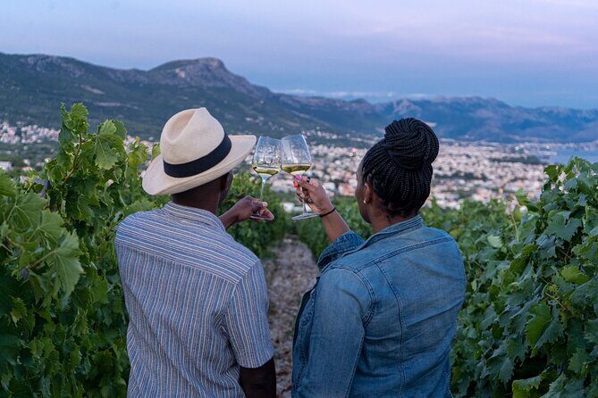 Vineyard Experience: Wine Tasting near Split - Final Thoughts