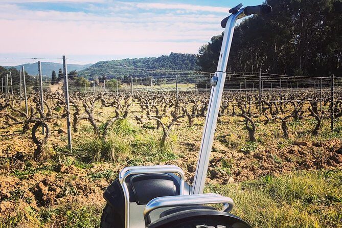 Vineyard visit in Gyropode, visit of Cave & Tasting Wines of Bandol - Who Will Love This Tour?