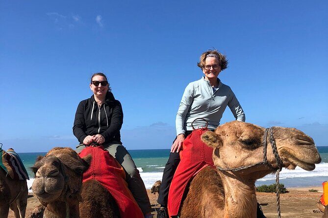 Vip Full Day Private Tangier Tour From Malaga All Inclusive - Why This Tour Works for Travelers