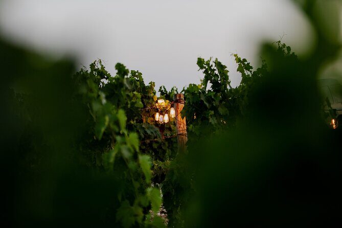 VIP Private Split/Trogir: Chef-Prepared Meal With Wine, Sea View - Lunch with a View: Kastel Sikuli