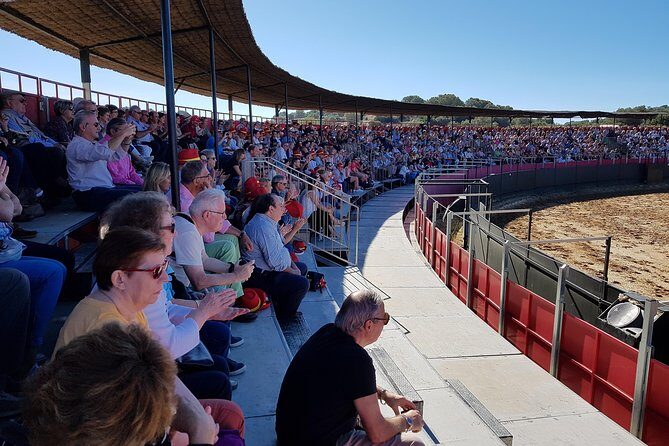 Visit Alvaro Domecq Horses and Brave Bulls in Freedom - What You Should Consider