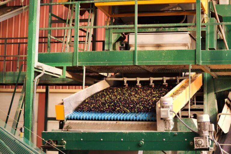 Visit an almazara + extra virgin olive oil tasting: Baeza - Who Will Love This Tour?