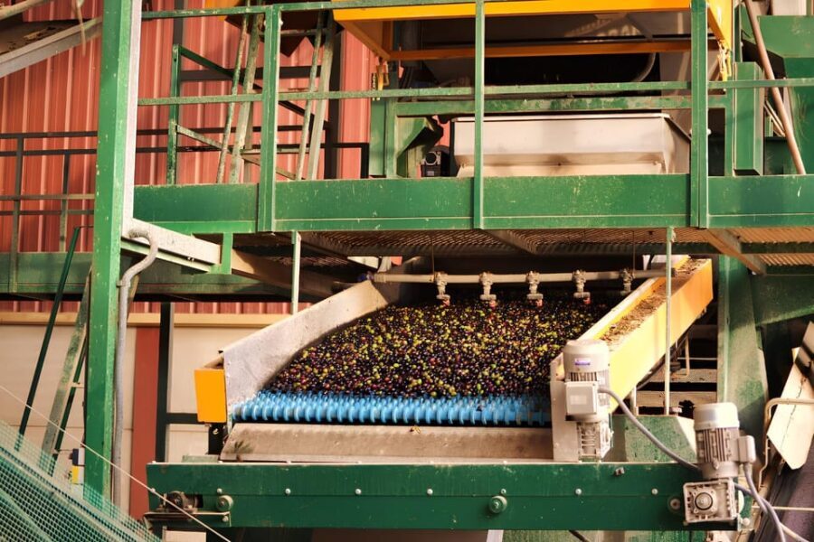 Visit an almazara + extra virgin olive oil tasting: Baeza - Who Will Love This Tour?