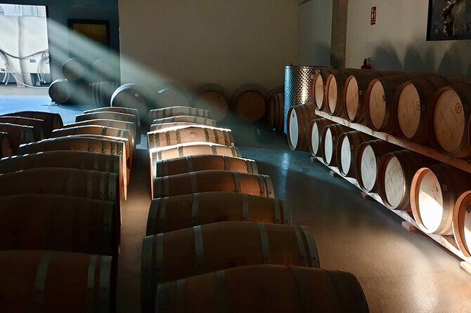 Visit and Wine Tasting at the Territorio Luthier Winery - In-Depth Review of the Territorio Luthier Tour