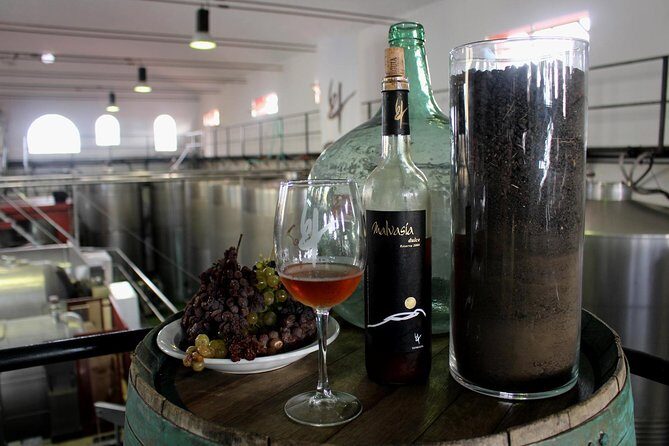 Visit Bodegas Teneguía winery in La Palma with wine Tasting - Who Will Get the Most Out of This Experience?