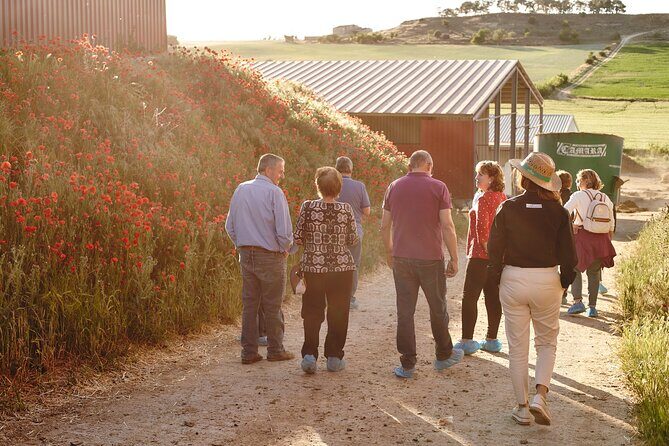 Visit La Antigua Cheese Factory (Cheese Tourism) - The Tasting: A Reward for Your Senses