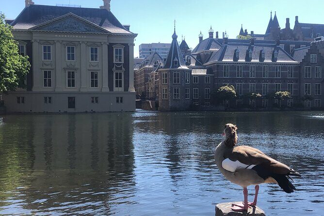Visit the Girl with the Pearl Earring, The Hague & Delft City - Frequently Asked Questions