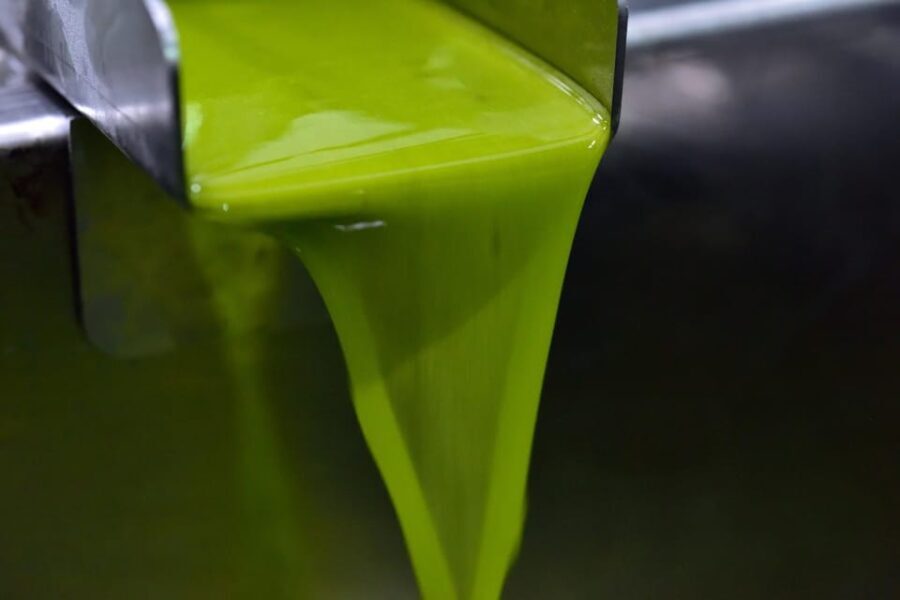 Visit to an olive oil mill and oil tasting with aperitif and food and wine pairing. - Frequently Asked Questions