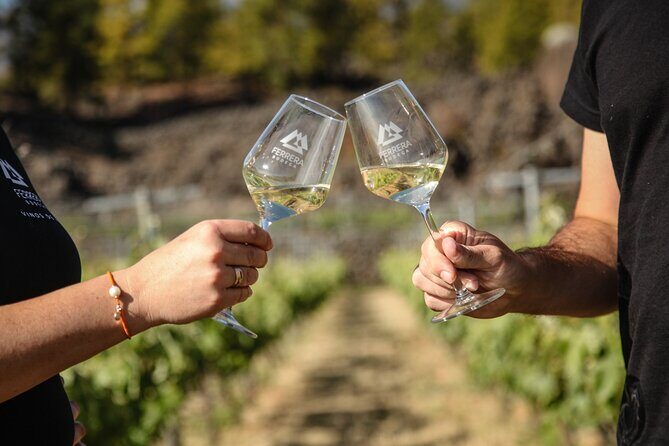 Visit to Arafo Mountain Vineyard and Organic Wine Tasting - Why This Tour Works Well