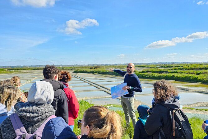 Visit to Saline - Guérande Salt Marshes - A Detailed Look at the Guérande Salt Marsh Tour