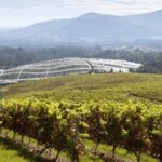 Visit to the Adegas Valmiñor winery and tasting - Final Thoughts: Is This Tour for You?