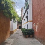 Visit to the cathedral, the Santa Cruz district and Plaza España - An In-Depth Look at the Seville Tour Experience