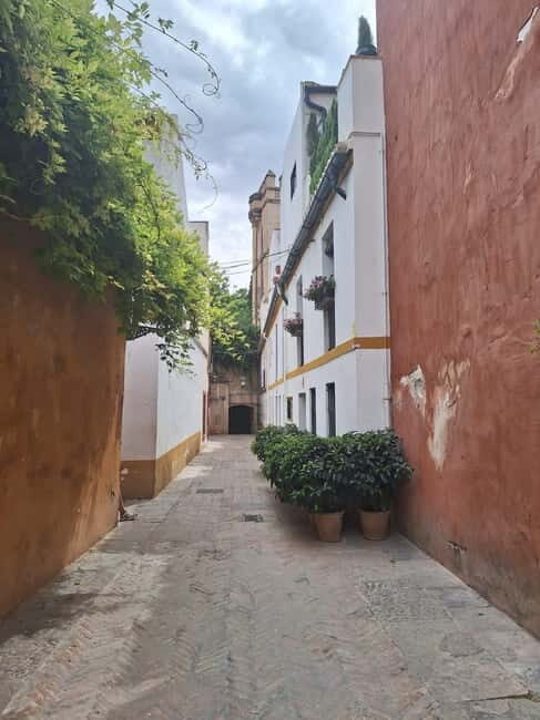 Visit to the cathedral, the Santa Cruz district and Plaza España - An In-Depth Look at the Seville Tour Experience
