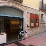 Visita guiada por el Teatro-Museo Dalí - What to Expect from the Guided Tour of Dalí’s Masterpiece