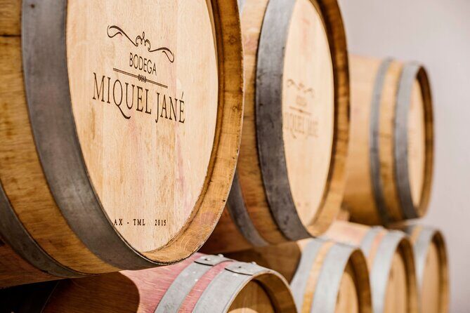Viticulture and Wine-Tasting 3-Hour Trip from Barcelona - A Detailed Look at the Experience