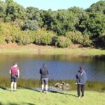 Volcanic Pools and Northwest 4WD Full Day Tour - Who Will Enjoy This Tour?