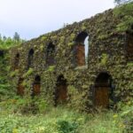 Volcano of Sete Cidades Private Tour - An In-Depth Look at the Volcano of Sete Cidades Private Tour