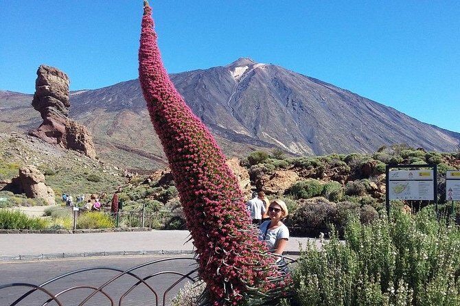 Volcano Teide - Masca ravine. Guided Tour from Puerto de la Cruz - Tenerife - A Detailed Look at the Itinerary