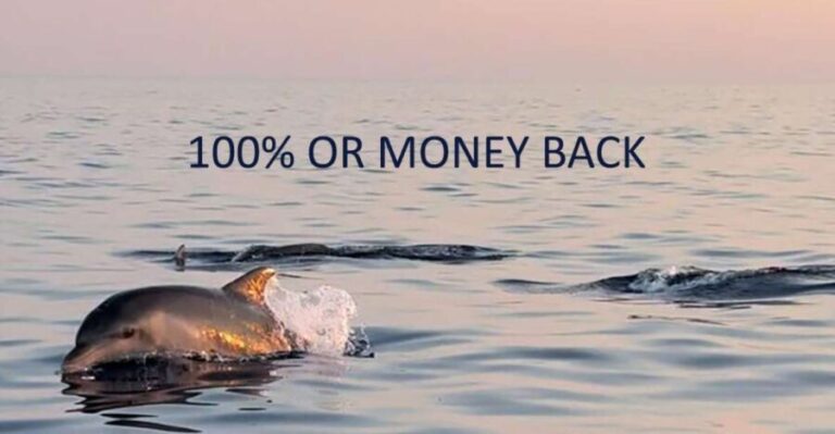 Vrsar: Dolphin Sunrise Adventure with Speedboat - Authentic Experiences and Traveler Insights
