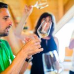 Wachau Valley Small-Group Tour and Wine Tasting from Vienna - Who Will Love This Tour?