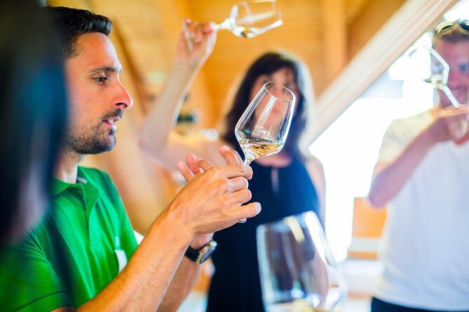 Wachau Valley Small-Group Tour and Wine Tasting from Vienna - Who Will Love This Tour?